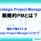 戦略的プロジェクトマネージャーについて